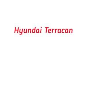 категория Hyundai Terracan