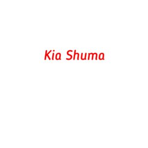 категория Kia Shuma