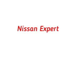 категория Nissan Expert