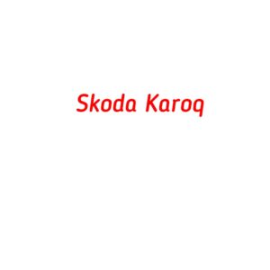 категория Skoda Karoq