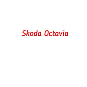 категория Skoda Octavia