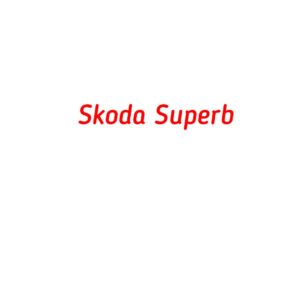 категория Skoda Superb